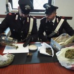 240 grammi di marijuana denunciato