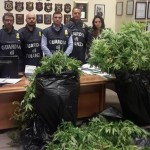 67enne coltivava marijuana nel giardino di casa