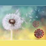 Allergie e Covid-19 sintomi da non confondere