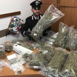 Arrestato a Leinì un rappresentante di marijuana