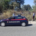 Arrestato un piromane Non sopportavo l'erba alta 1