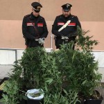 Arresti e denunce in  Canavese per spaccio di droga