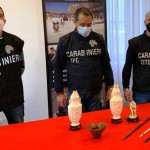 Carabinieri del C.I.T.E.S. di Torino-Caselle sequestrano oggetti in corno di riceronte, avorio e tartaruga