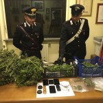 Coltivano marijuana in casa, arrestata intera famiglia a Pont