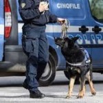 Continuano i controlli straordinari della Polizia