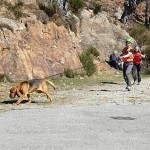 Continuano nel verbano le ricerche di due alpinisti