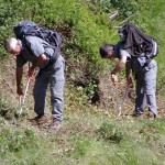 Contributi alle associazioni per interventi di manutenzione ordinaria del patrimonio escursionistico