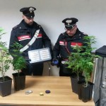 Controlli dei Carabinieri sei persone denunciate