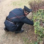 Controllo ai giardini Madre Teresa di Calcutta