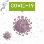 Coronavirus la situazione in Canavese - 27 aprile 2020