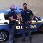 Cucciolo salvato da una pattuglia della Polizia