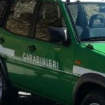 Da agriturismo a discarica intervengono i Carabinieri Forestali