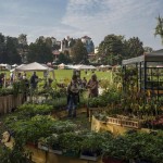 Dal 18 al 20 ottobre la “Tre giorni per il giardino ed. Autunno” 1