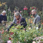 Dal 18 al 20 ottobre la “Tre giorni per il giardino ed. Autunno” 2