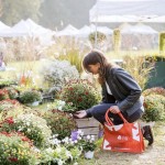 Dal 23 al 25 ottobre la “Tre Giorni per il Giardino” edizione autunno