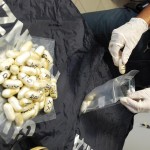 Dalla Francia con oltre 70 ovuli di droga