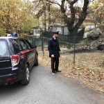 Denunciato per incendio boschivo  colposo