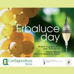 Domani Erbaluce Day a Torino