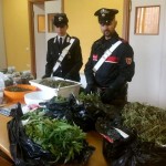 Droga express intercettato dai carabinieri con 8 kg di marijuana