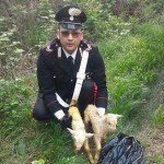 Due capretti in un sacco gettati in una scarpata