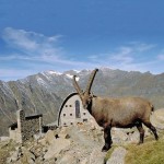 Entra in vigore il Piano del Parco Nazionale Gran Paradiso