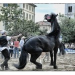 Fine settimana ad Ivrea con il ritorno della Festa di San Savino