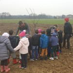 Frutteto comunitario di Volpiano i primi alberi piantati dai bambini