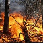 Gli incendi boschivi preoccupano la Regione