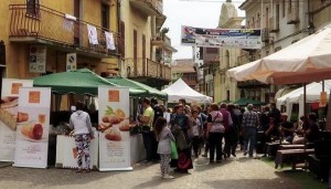 Il 12 e 13 maggio a San Giorgio, il Mercato della Terra e della Biodiversità 1