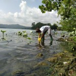 Il monitoraggio della Goletta di Legambiente sul lago di Viverone