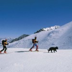 montagna, racchette da nave, ciaspole