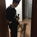 Lascia il cane con la museruola sul balcone denunciata