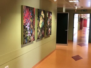 L’arte e la bellezza nel reparto di Ostetricia e Ginecologia all'ospedale di Ivrea 2