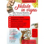 Natale in vigna 2018 alla Tenuta Roletto