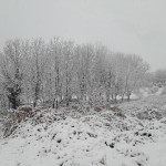 Neve su tutto il Canavese