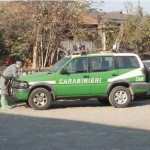 Noleggio cavalli controlli al parco della Pellerina 1