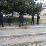 Parco Valentino trasformato in campo da golf della cannabis