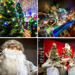 Peraga Garden Center 70.000 volte Natale