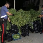 Piantagione di marijuana in casa arrestato 47enne