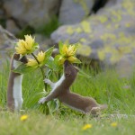 Proclamati i vincitori della XIV edizione del Concorso Fotografare il Parco