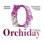 Sabato e domenica da Peraga l’ORCHIDAY, la Mostra Mercato Internazionale di Orchidee 1