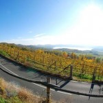 Sandro Comotto nuovo Presidente della Strada Reale dei vini torinesi 1