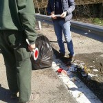 Scoperti già quattro autori di abbandono di rifiuti sulla provinciale 460