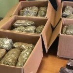 Sequestrati 10 mila datteri di hashish 3 arresti della Polizia