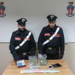 Spaccio di marijuana a giovani studenti di Ivrea, arrestato