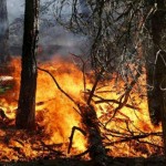 Stato di massima pericolosità per incendi boschivi