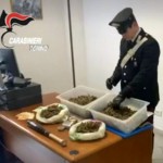 Tra Volpiano e Chivasso carabinieri individuano e-commerce della marijuana