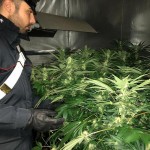 Trasforma il suo appartamento in un laboratorioserra di marijuana