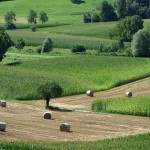 Tre escursioni sul Cammino Don Bosco 2