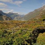Un nuovo decreto tutela la viticoltura eroica e storica